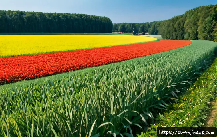 Jak interpretować opinie klientów i reakcje emocjonalne przed wyborem narzędzia badawczego 4 소비자 피드백과 심리적 반응 분석 관련 이미지 2